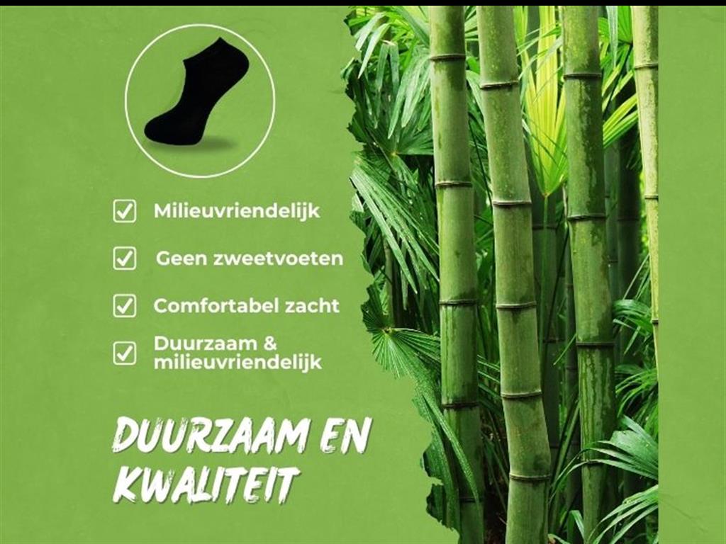 a2NhNNYsAECl6dEeM64XaA_4126939